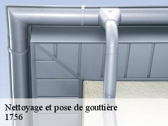 Nettoyage et pose de gouttière 1756