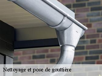 Nettoyage et pose de gouttière