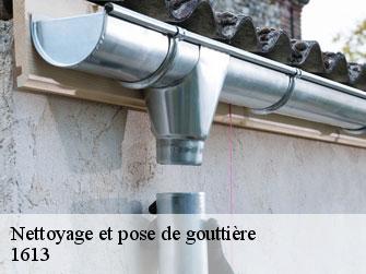 Nettoyage et pose de gouttière  1613