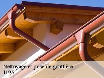 Nettoyage et pose de gouttière