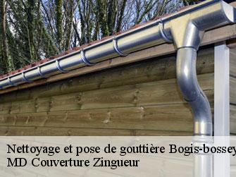 Nettoyage et pose de gouttière