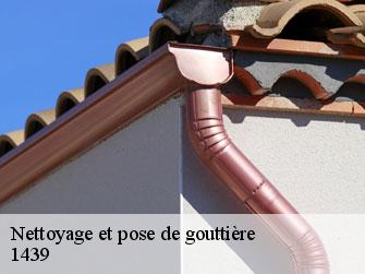 Nettoyage et pose de gouttière