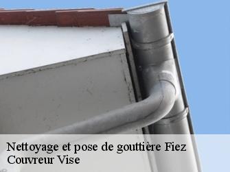 Nettoyage et pose de gouttière 1420