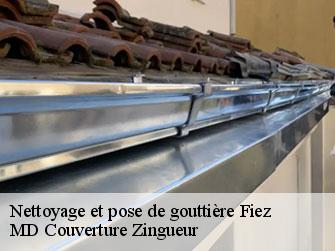 Nettoyage et pose de gouttière  1420