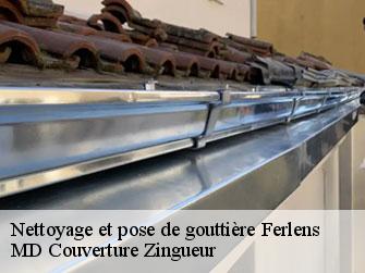 Nettoyage et pose de gouttière  1076