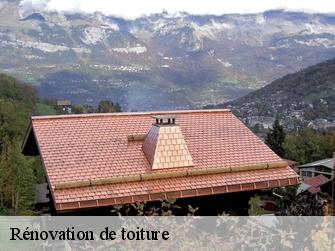 Rénovation de toiture  1018