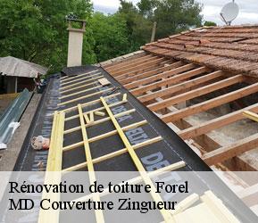 Rénovation de toiture  forel-1072 MD Couverture Zingueur