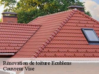Rénovation de toiture  ecublens-1024 Couvreur Vise
