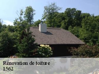 Rénovation de toiture