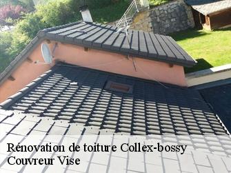 Rénovation de toiture  1239