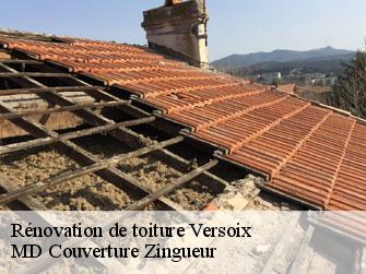 Rénovation de toiture  1290