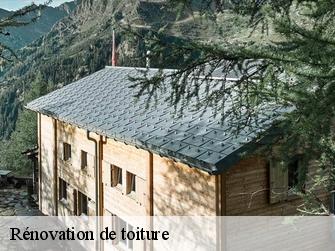 Rénovation de toiture