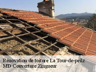 Rénovation de toiture  1814