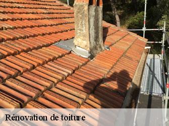 Rénovation de toiture  1814
