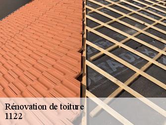 Rénovation de toiture  1122