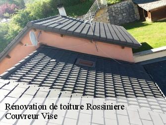 Rénovation de toiture  1658