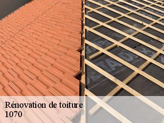 Rénovation de toiture  1070