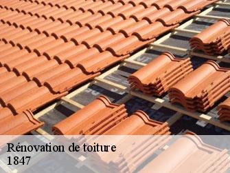 Rénovation de toiture  1847