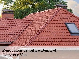 Rénovation de toiture demoret-1415 Couvreur Vise