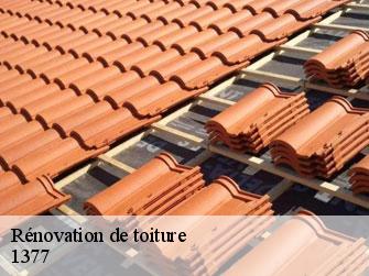Rénovation de toiture  1377
