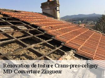 Rénovation de toiture  1299