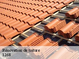 Rénovation de toiture  1268