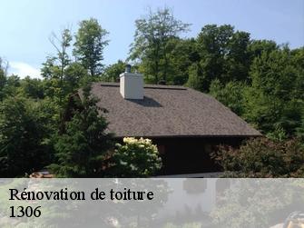 Rénovation de toiture