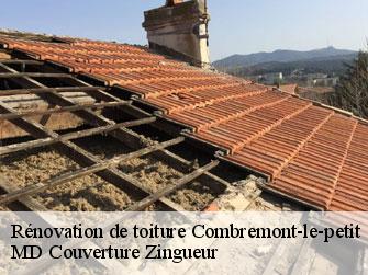 Rénovation de toiture  1536