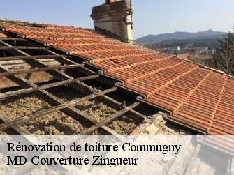 Rénovation de toiture  1291