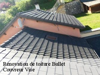 Rénovation de toiture 1453