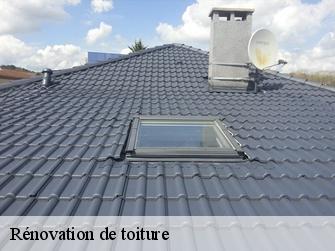 Rénovation de toiture