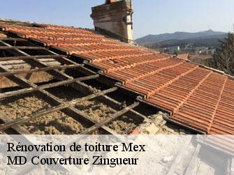 Rénovation de toiture  1031