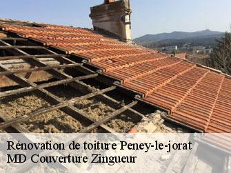 Rénovation de toiture  1059