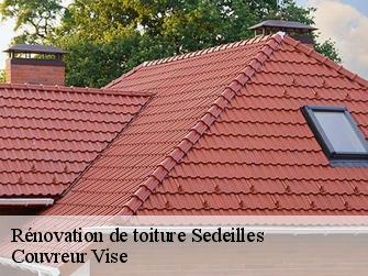Rénovation de toiture  sedeilles-1554 Couvreur Vise