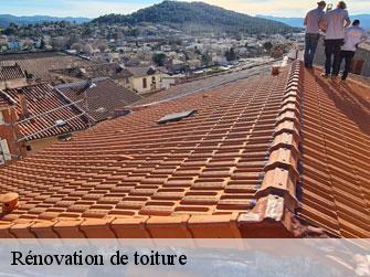 Rénovation de toiture