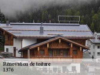 Rénovation de toiture 1376