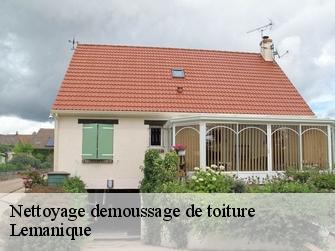 Nettoyage demoussage de toiture