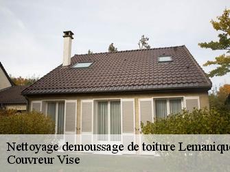 Nettoyage demoussage de toiture Lemanique  Couvreur Vise