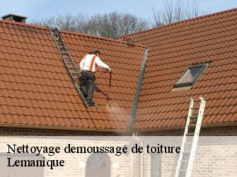 Nettoyage demoussage de toiture Lemanique 