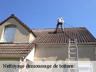 Nettoyage demoussage de toiture Lemanique 