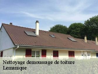 Nettoyage demoussage de toiture Lemanique 