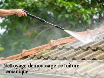 Nettoyage demoussage de toiture Lemanique 