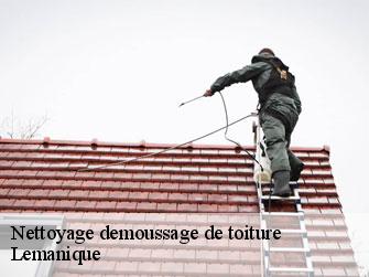 Nettoyage demoussage de toiture