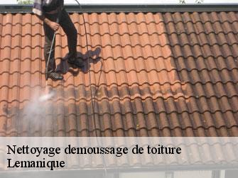 Nettoyage demoussage de toiture Lemanique 