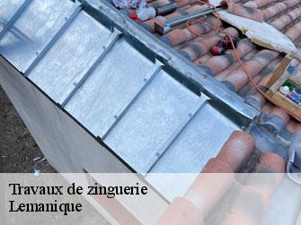 Travaux de zinguerie Lemanique 