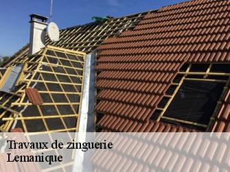 Travaux de zinguerie