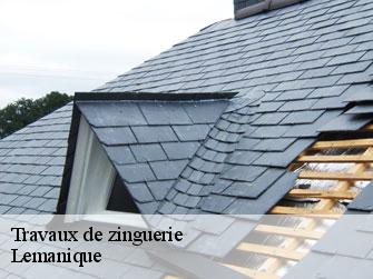 Travaux de zinguerie Lemanique 