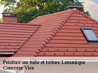 Peinture sur tuile et toiture Lemanique  Couvreur Vise
