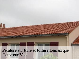 Peinture sur tuile et toiture Lemanique