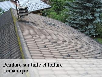Peinture sur tuile et toiture Lemanique